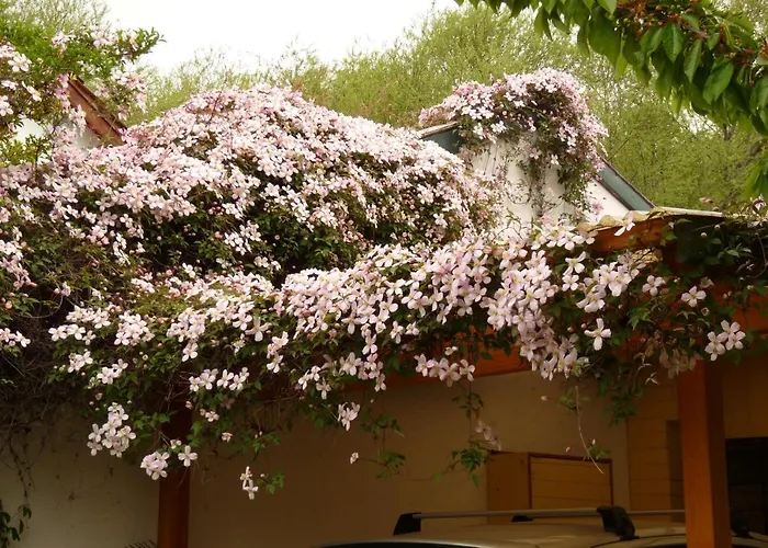 La Casita De Li